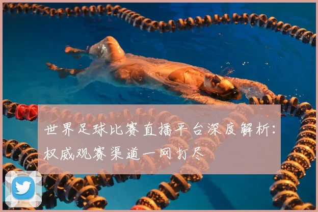 世界足球比赛直播平台深度解析：权威观赛渠道一网打尽