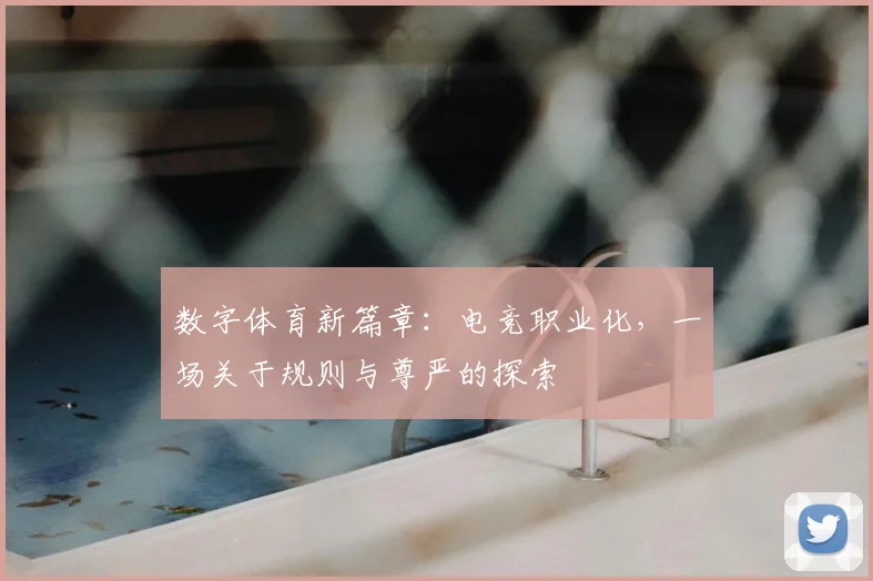 数字体育新篇章：电竞职业化，一场关于规则与尊严的探索