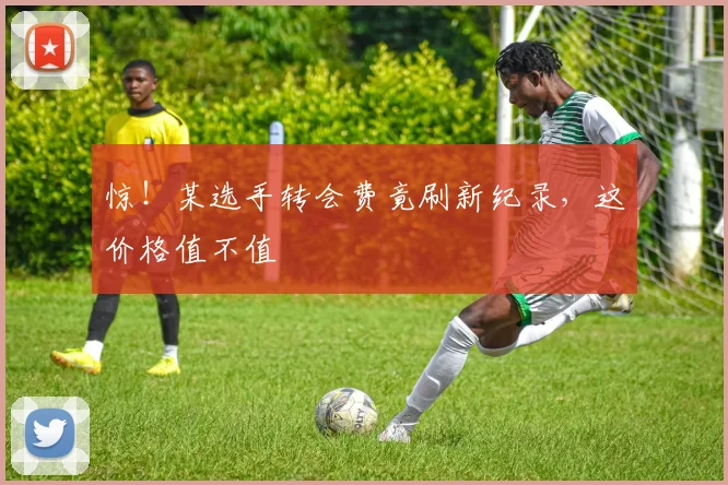 惊!某选手转会费竟刷新纪录,这价格值不值