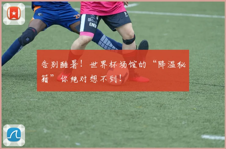 告别酷暑！世界杯场馆的“降温秘籍”你绝对想不到！